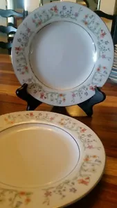 2 Vintage Wildblumen 8" Porzellan-China Salatteller Silberrand SCHÖN - Bild 1 von 2