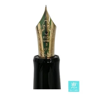 Pluma Estilográfica PILOT Personalizada Plumín Dorado 14K-585 - Imagen 1 de 4