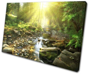 Woodland River Stream Forest Landscapes SINGLE CANVAS WALL ART Picture Print - Picture 1 of 1