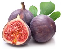Fig Tree Fruit Common Fig Ficus Carica Seeds 25 PCS LARGE FRUIT VARIETY!