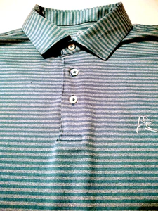 RHOBACK Men's POLO Style Polyester/Spandex XL Green Striped Short Sleeve Shirt - Picture 1 of 6