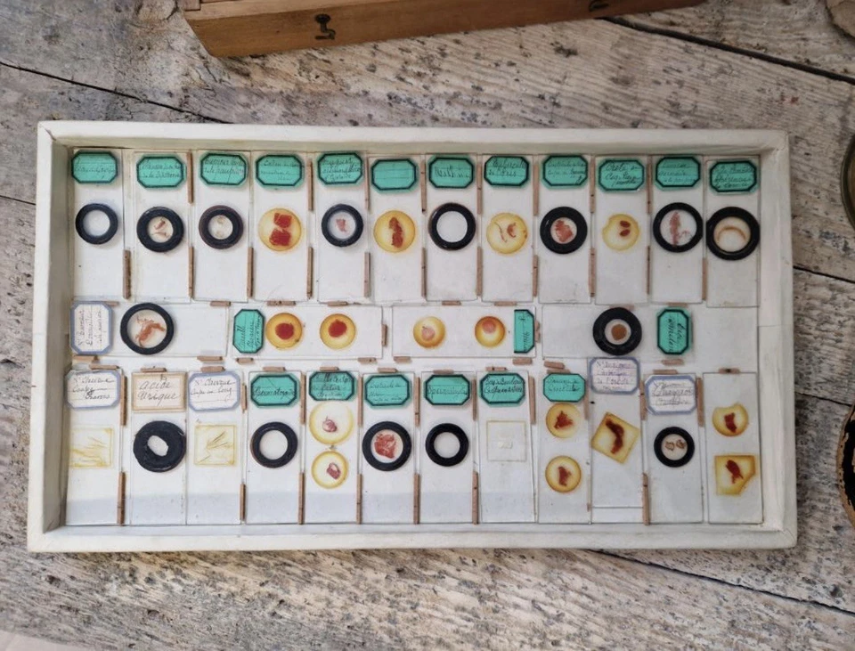 Антикварные слайды для микроскопа - Изображение 1 из 1