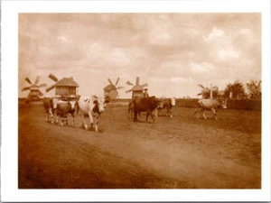 postal Ucrania y ucranianos - Imagen 1 de 2