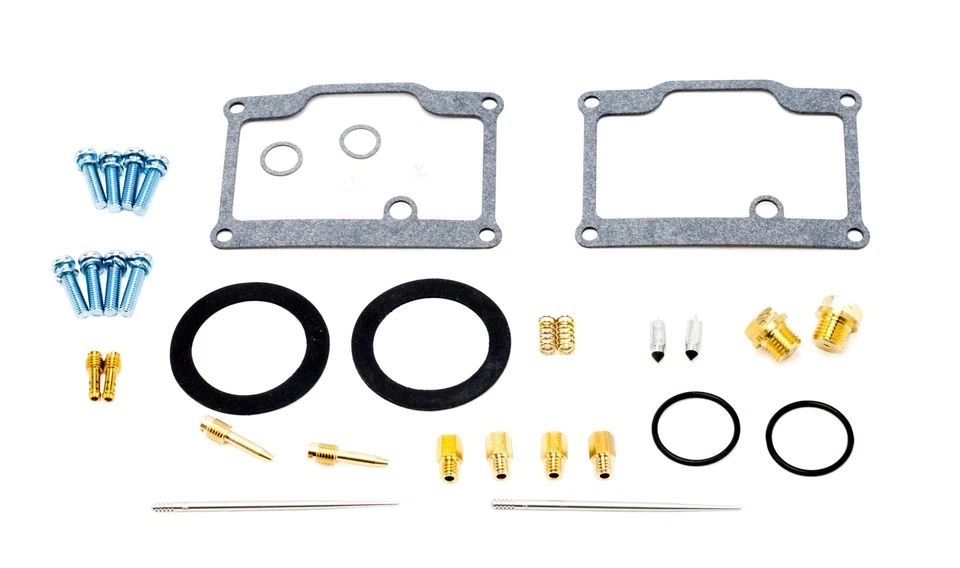 Kit de reparación de carburador/carburador Polaris Galaxy 440, 1980-1981 Foto 1 de 1