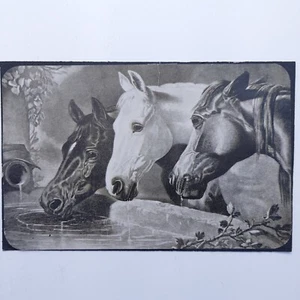 Antiguo Pla-Ti-No-Type At The Fountain Horses Balch Bros NY 1900 John F. Herring - Imagen 1 de 8