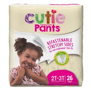 Training Pants for Girls (Choose Size 2T-3T) - Picture 1 of 12
