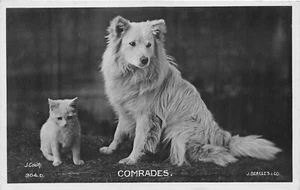 POSTCARD COMIC - DOG AND CAT THEME - COMRADES - Picture 1 of 2