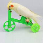 Interactive Parrot Toy Easy-using Colorful Parrot Bird Bike Toy Cute