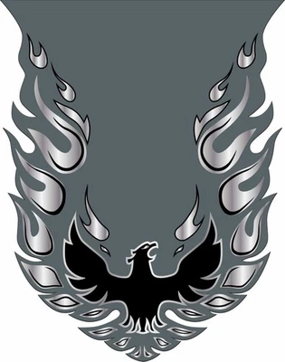 庞蒂亚克 Firebird Trans Am Year One 强盗乙烯基贴纸贴花车窗罩 — 第 1/3 张图片