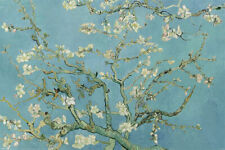 Poster VINCENT VAN GOGH - Almond Blossom  91,5x61cm  NEU  59397