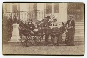 PHOTO CABINET, voiture à bras âne donkey costume marin poupée doll escrimeur - Picture 1 of 2