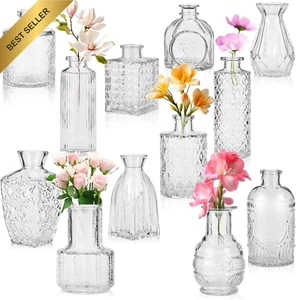 Glass Bud Vase Set of 12 Mini Clear Vases for Flower Centerpieces - Picture 1 of 12