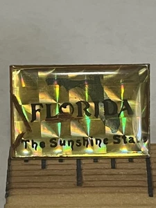 Prendedor de solapa/bolso/recuerdo Florida - Imagen 1 de 2