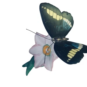 Franklin Mint Butterflies Of The World Porcelain Ornament Collectable 1985 C - Picture 1 of 16