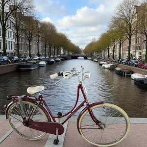 Bicicleta de ciudad Batavus Old Dutch para mujer 56 cm borgoña oscura Shimano 3 velocidades original - Imagen 1 de 16