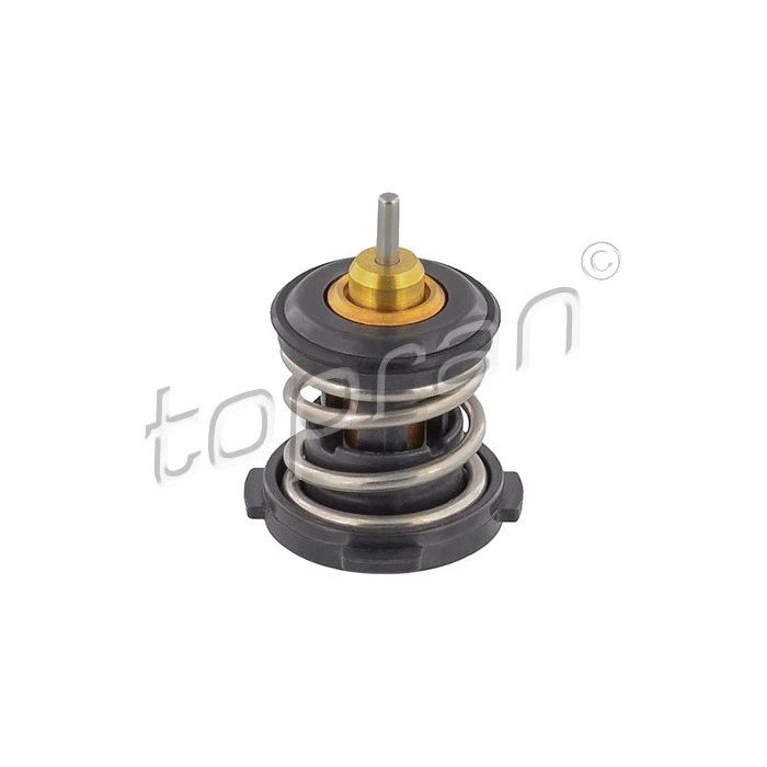 Termostato D'Acqua Per Seat Arona Alhambra Skoda Fabia III 04E121113G 04E121113G Foto 1 de 1