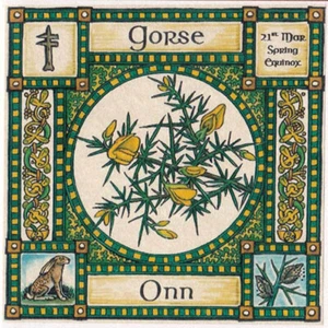 SPRING EQUINOX GORSE TREE GREETING CARD 21st Mar PAGAN Birthday OGHAM WICCAN - Bild 1 von 1