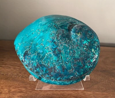 Large Abalone Shell Polished and Dyed Emerald green - Image 1 of 4