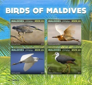 BIRDS OF MALDIVES 4-Value MNH Bird/Birds Stamp Sheet #344 (2019 Maldives) - Picture 1 of 1