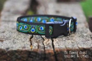 Peacock ribbon dog collar med/large/XL 25mm wide - Picture 1 of 1