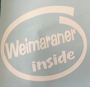WEIMARANER INSIDE DOG PUP ON BOARD CAR WINDOW STICKER DECAL WHITE ALL COLOURS - Picture 1 of 4