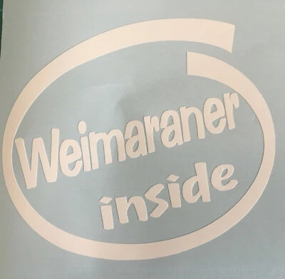WEIMARANER INSIDE DOG PUP ON BOARD CAR WINDOW STICKER DECAL WHITE ALL COLOURS - Image 1 of 4