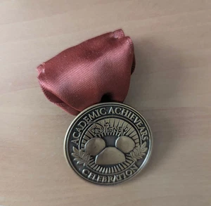 Disney Academic AchievEARS Celebration Medal Pin Your Walt Disney World 2008 - Bild 1 von 1