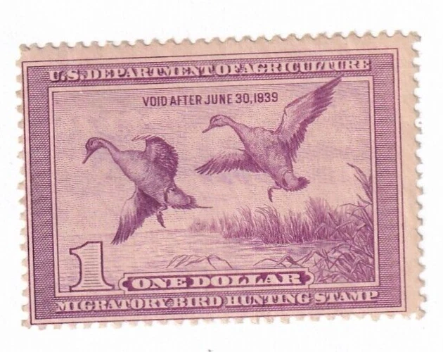 MATT'S STAMPS US SCOTT #RW5 $1 DOLLAR 1938 FEDERAL DUCK STAMP, MNH, CV$400 - Image 1 of 3