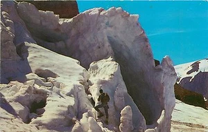 Postal Columbia Icefield Canadian Rockies Postal SERACS Ice Pinnacles - Imagen 1 de 2