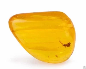 A020  Dominican Republic golden yellow amber with a spider inclusion - Picture 1 of 7