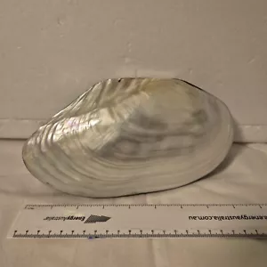 REDUCED TO $40 Abalone & Mother Of Pearl Shell Velvet Lined Trinket Box - Picture 1 of 7