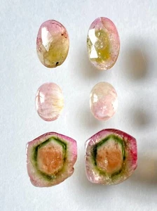 Natural Watermelon Tourmaline Slices Earring Loose Gemstone Jewellery 9.70 Cts. - Picture 1 of 6