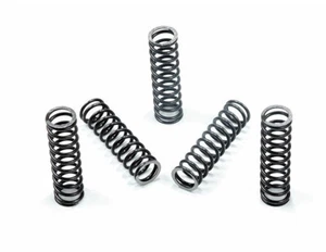 Sonnax 44912-01 45RFE/545RFE/68RFE TCC Accumulator Springs (5 Pieces) - Picture 1 of 4