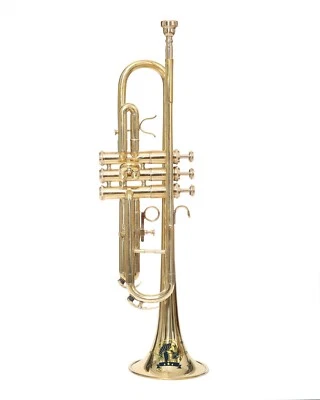 SOUND SAGA Trompeta Bb Pitch Con Incluye Boquilla y Estuche de Transporte Guantes (Dorado) Foto 1 de 3