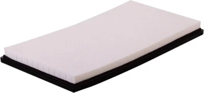 Filtro de aire de motor premium ECOGARD XA10585 para Mercedes-Benz Metris 2016-19 nuevo Foto 1 de 2