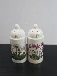 Portmeirion Botanic Garden Salt & Pepper Shakers Daisy & Cyclamen England - Picture 1 of 7