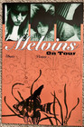 Melvins 1995 Tour Promo Poster – Atlantic Records – Vintage 16x24 Grunge Collect