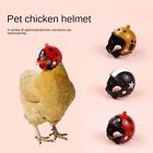 PP Chicken Helmet Funny Bird Protect Cap Gifts Pet Protective Headgear
