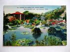 Vintage Linen Postcard Chinese Tea Garden Brackenridge Park San Antonio Texas