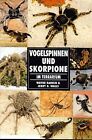 Vogelspinnen und Skorpione im Terrarium von Rankin, Wayn... | Buch | Zustand gut