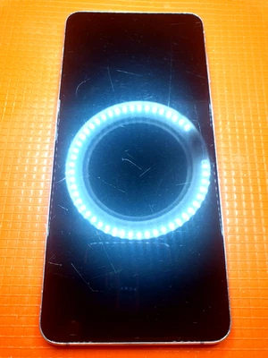 DISPLAY 100% ORIGINALE SAMSUNG GALAXY S21 PLUS 5G SM-G996B/DS  LCD VETRO USATO - Immagine 1 di 4