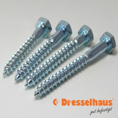 DRESSELHAUS Tornillos para madera hexagonales DIN 571 tornillos 6,8,10,12 mm tornillos de llave b