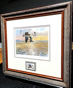 Stampa timbro John Cowan 1985 Texas Waterfowl Duck con timbro - cornice nuova - Foto 1 di 5