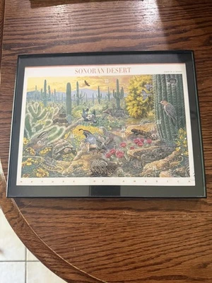 Sonoran Desert Postage Stamp Sheet Mint Nature Of America 1999 Unused - Image 1 of 4