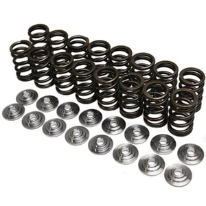 Resortes de doble válvula Brian Crower para Honda/Acura B18C/B16A/B17A y Nissan KA24DE - Imagen 1 de 1