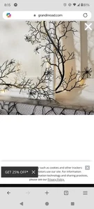 GRANDINROAD PRE LIT SPIDER BRANCH GARLAND 164031 NEW - Picture 1 of 7