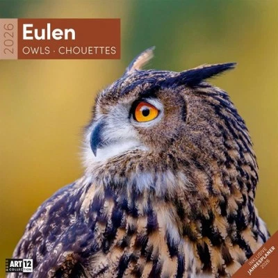 ACKERMANN KUNSTVERLAG Eulen Broschürenkalender 2026 - 30x30 - Art12|Kalender
