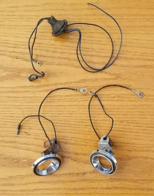 Luz de cortesía 66 Galaxie Ford 65 1965 1966 67 68 69 70 Torino Fairlane Mustang Foto 1 de 4