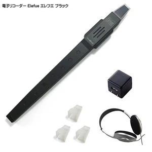 Elefue EF10BK Black Digital Recorder with AC Adapter, Headphones, TAHORNG EF-10 - Picture 1 of 3