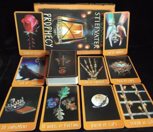 NEW SEALED! RAVENS PROPHECY TAROT CARD & BOOK ORACLE INSIGHT ANSWERS & WISDOM - Picture 1 of 11